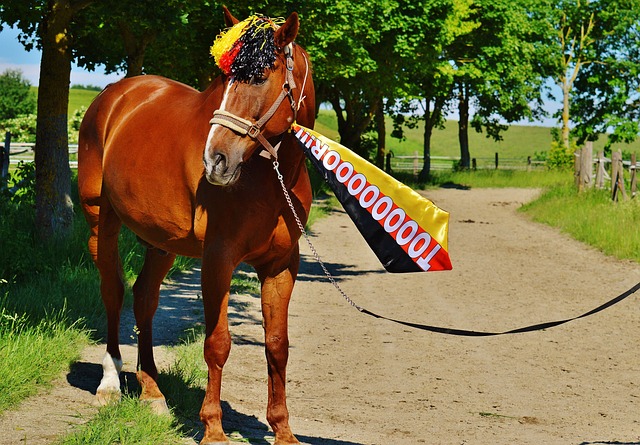 巴萨女足两回合10-2狼堡女足晋级欧冠四强，皮纳.